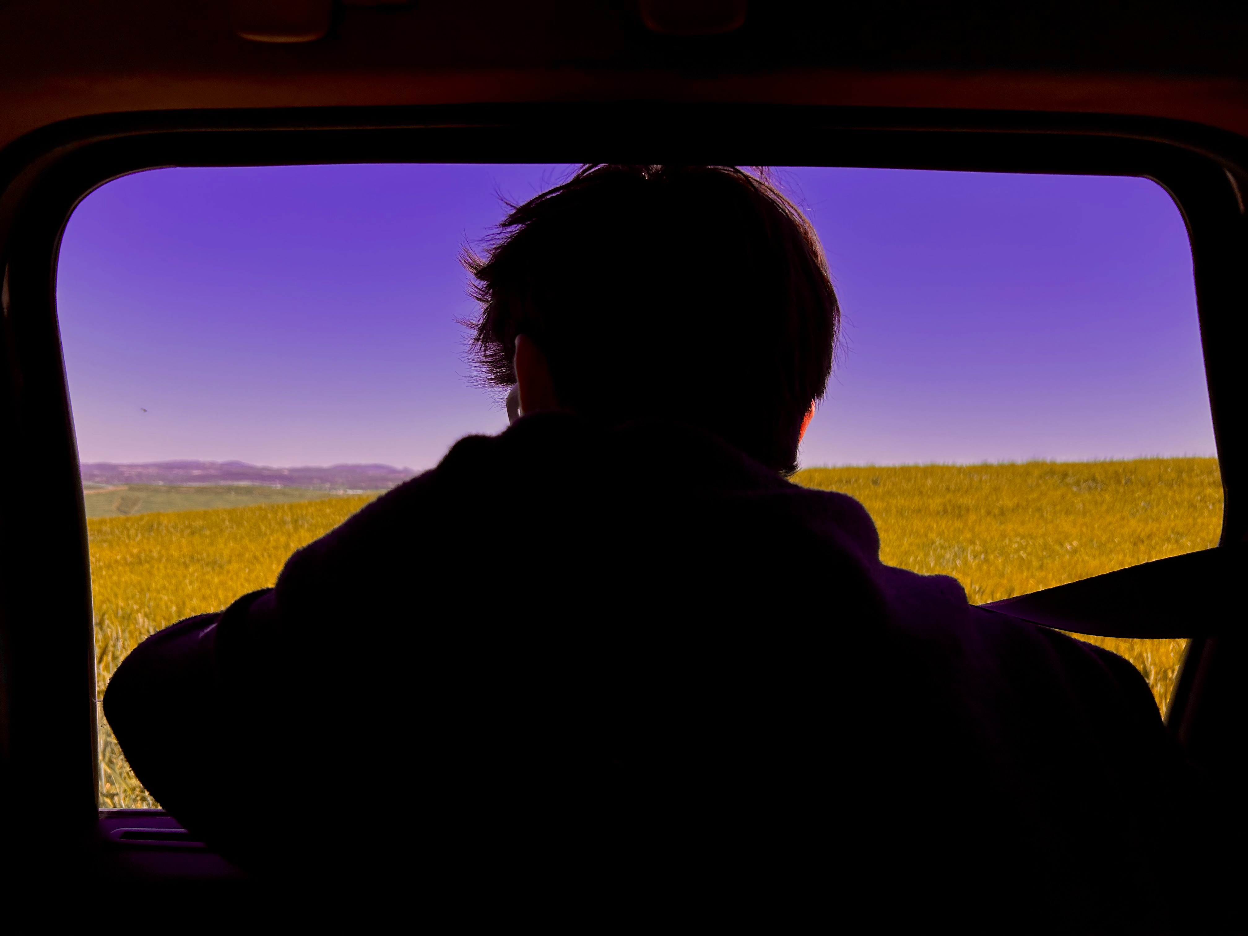 Paysage depuis une voiture